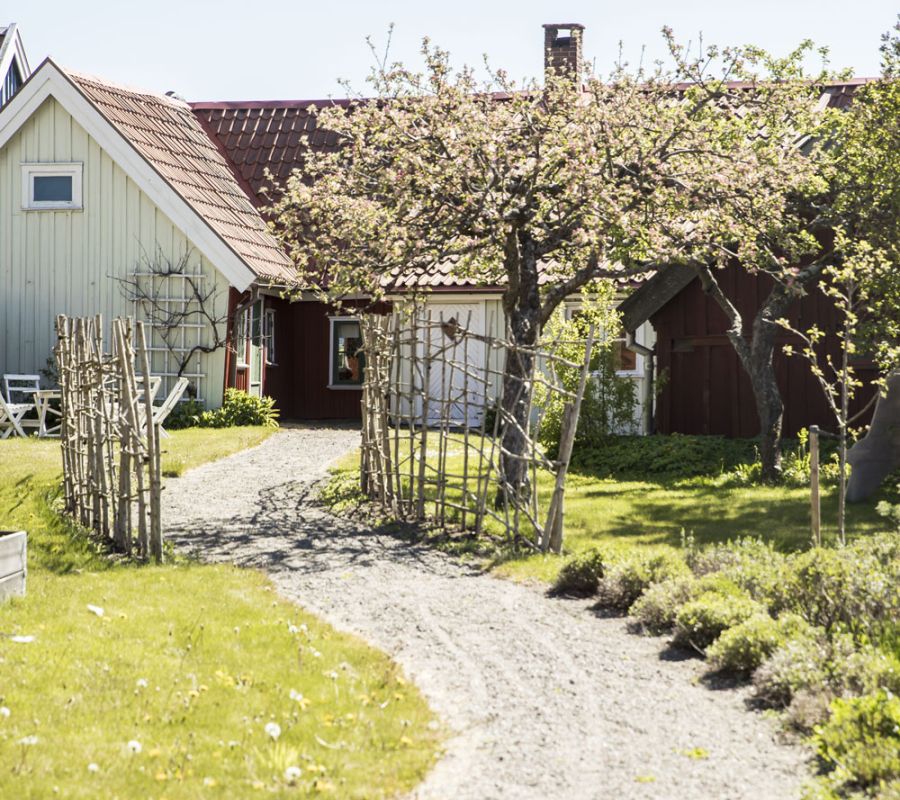 Ett vitt och rött trähus med en grönskande trädgård i förgrunden där en grusad stig leder fram mot huset.